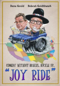 دانلود فیلم Joy Ride 2021