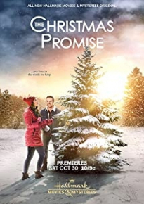 دانلود فیلم The Christmas Promise 2021